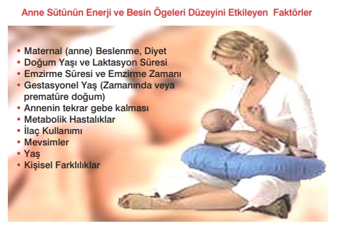 Anne Sütü Eğitimi